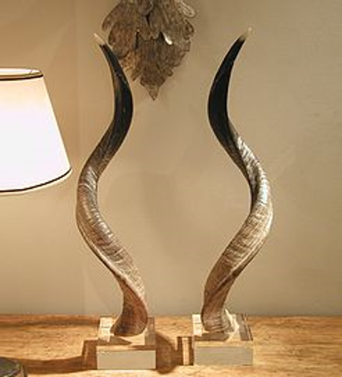 Picture of KUDU HORNS